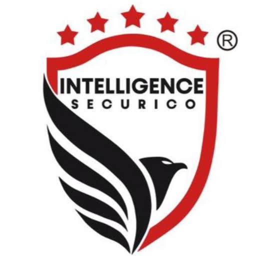Nafasi ya kazi :- Technicians – Electronic Security Systems (4 Posts) at Intelligence Securico Limited